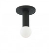 Dainolite Adams 1 Light Flush Mount Matte Black Lamp