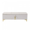 Tony Soft Velvet Upholstered Storage Ottoman Bench With Metal Legs,beige