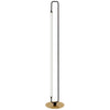 Dainolite Freya 1 Light LED Floor Lamp Matte Black/Aged Brass White Acrylic