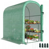 Outsunny Walk-in Mini Greenhouse Outdoor Greenhouse with Shelves, Green