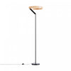 63\" Matte Black Modern LED Floor Lamp