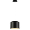Dainolite Emilia 1 Light Pendant Matte Black Finish Matte Black/White Shade Lamp