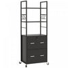 Vinsetto 2 Drawer File Cabinet with Lock, Adjustable Hanging Bar, Black