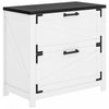 HOMCOM 2 Drawer File Cabinet Lateral Filing Cabinet for Home Office, White