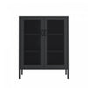 Amelia Modern 32\" Metal Accent Cabinet in Black