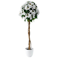 White 47