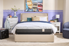 Springwall Spa 8 Firm Smooth Top Queen Mattress in a Box