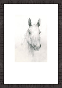 Ceaser I Framed Artwork Raised Under Glass with Mat - 16