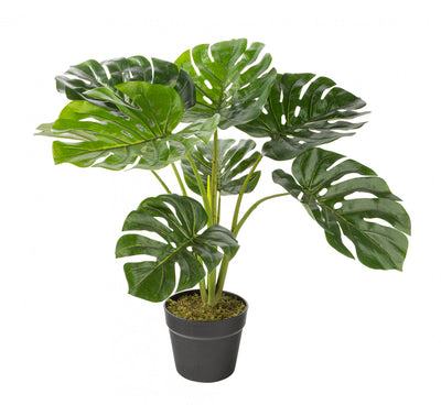 Artificial 23" Monstera In Black Pot