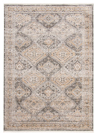 Leandra Taupe/grey Rug 8'0