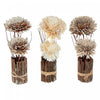 Dried Shola Arrangement with Twig Pot Artificial Flower