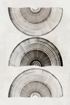 \"Sophisticatted Lines I\" Giant Art 72x48 Wall Art