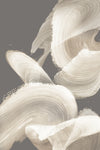 \"Evolution Of White\" Giant Art 84x54 Wall Art