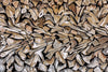 \"Pearson - Against The Grain\" Giant Art 72x48 Wall Art