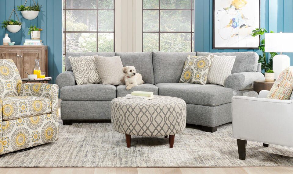 Keeping Your Home Clean and Tidy While Having a Pet|Gardez votre demeure propre et organisée tout en ayant des animaux