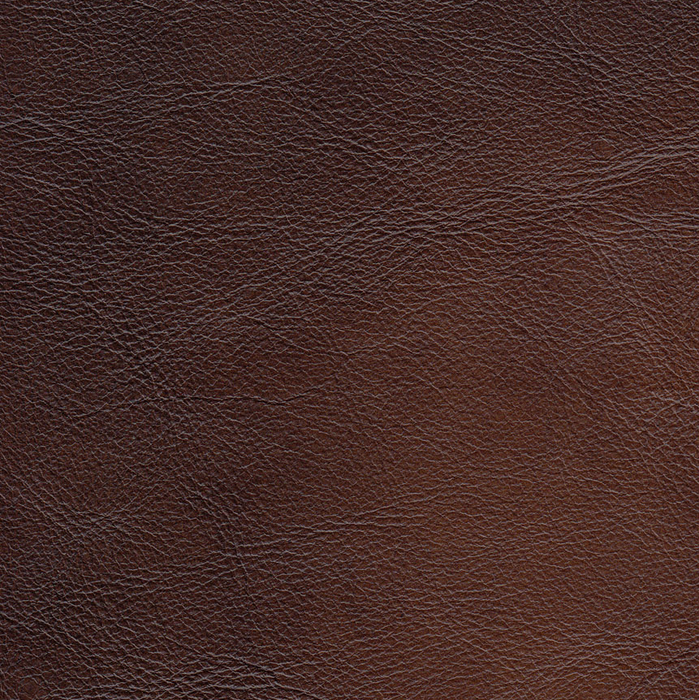 Hydeline Standwood Leather Loveseat - Brown