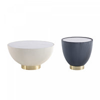 Anderson Modern 2-Piece Coffee Table & End Table Set in Cream and Gray