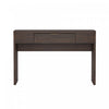 Evelyn Modern 47\" Writing Desk in Brown (1-Drawer)