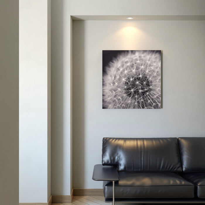Loop Wall Art
