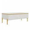 Lustra 39.4 Inch Modern High-Gloss Coffee Table with Dual Drawers and Gold Accents, White