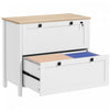 HOMCOM 2 Drawer Lateral File Cabinet for Letter, A4, Legal Size, White