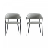 Belle Modern Metal Upholstered Dining Chair in Stone Gray - Set of 2 