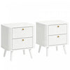 HOMCOM Modern Nightstand Set of 2, Bedside Table with 2 Drawers, White