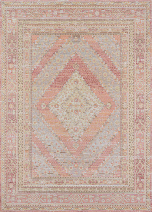 Poppy Traditional 4'0\" x 6'0\" Area Rug in Pink Indoor Area Rug
