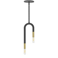 Dainolite Wand 2 Light Pendant Matte Black/Aged Brass Lamp