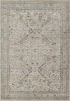 Margaux Traditional 7'10\" x 10'10\" Area Rug in Ivory Indoor Area Rug