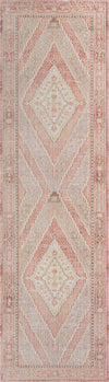 Poppy Traditional 2'7\" x 8'0\" Runner Rug in Pink Indoor Area Rug