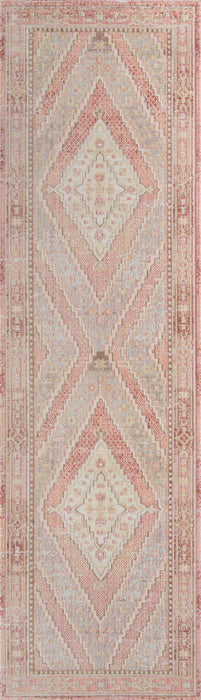 Poppy Traditional 2'7\" x 8'0\" Runner Rug in Pink Indoor Area Rug