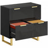 HOMCOM 2 Drawer File Cabinet Lateral Filing Cabinet High Gloss Black