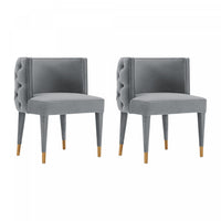 Maya Modern Velvet Dining Chair in Gray - Set of 2 