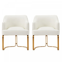 Raya Modern Wood Vegan Leather Dining Chair in Ivory - Set of 2