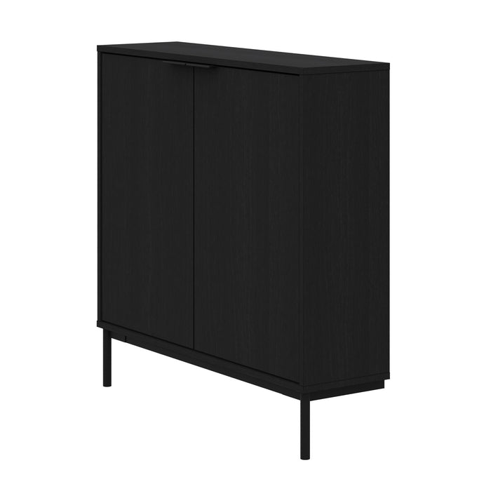 Nordika Slim 2-Door Storage Console Accent Cabinet - Black