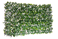 Willow Expandable White Rose Trellis - 40