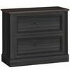HOMCOM Lateral File Cabinet with 2 Drawers, Farmhouse Filing Cabinet, Black
