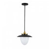 Dahlia 1 Light Pendant 15\", Black