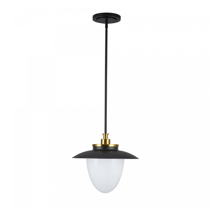 Dahlia 1 Light Pendant 15\", Black