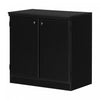 Morgan Small 2-door Storage Cabinet - Pure Black