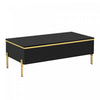 Lustra 39.4 Inch Modern High-Gloss Coffee Table with Dual Drawers and Gold Accents, Black