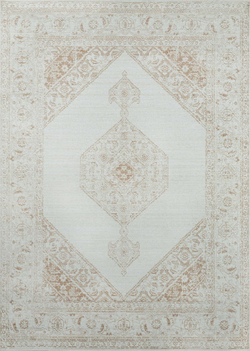 Maude Traditional 7'10\" x 10'6\" Area Rug in Brown Indoor Area Rug