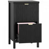 HOMCOM 2 Drawer File Cabinet, Filing Cabinet Fits Letter/A4 Size, Black