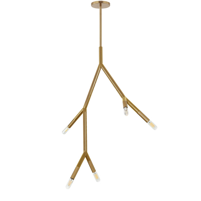 Dainolite Morgan 5 Light Pendant Aged Brass Finish Lamp
