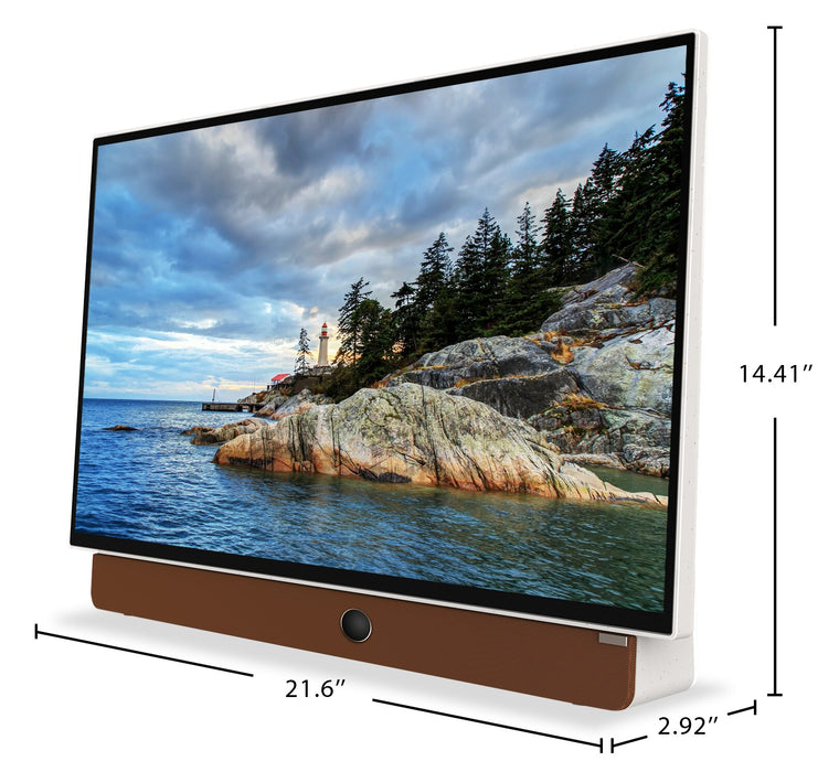  Skyworth Companion Portable™ 1080p FHD LED Display w/ Google TV (24P100) 