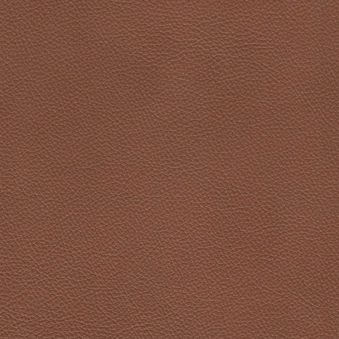 Hydeline Cassia Leather Sofa - Brown