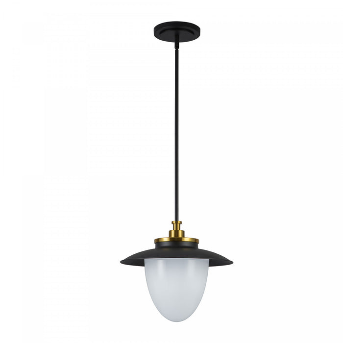 Dahlia 1 Light Pendant 15\", Black