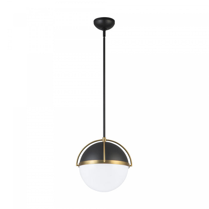 Dahlia 1 Light Pendant 15.4\", Black, Brushed Brass