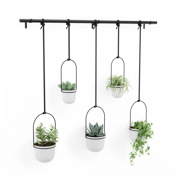 Umbra White Triflora Hanging Planter - Set of 6